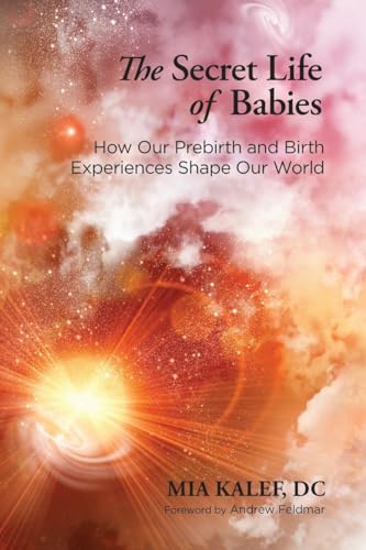 The Secret Life of Babies: How Our Prebirth and Birth Experiences Shape Our World von North Atlantic Books